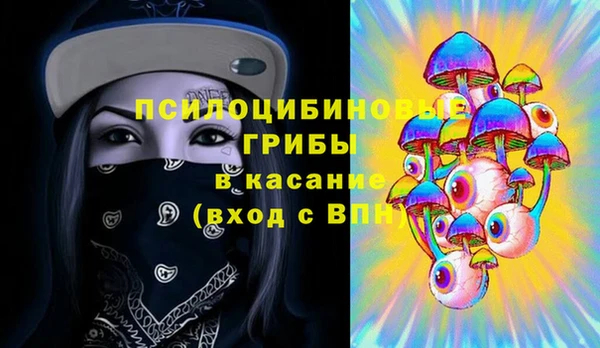 первитин Новозыбков