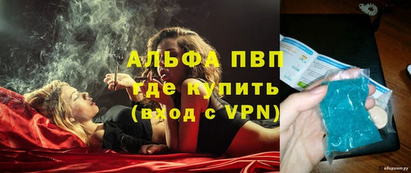 стафф Новодвинск
