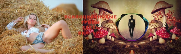 мет Беслан