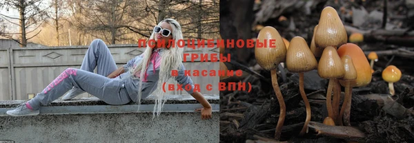 первитин Новозыбков