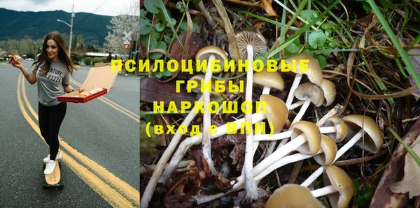 apvp Новокубанск
