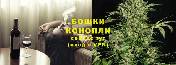 стафф Новодвинск