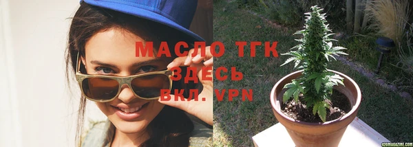 стафф Новодвинск