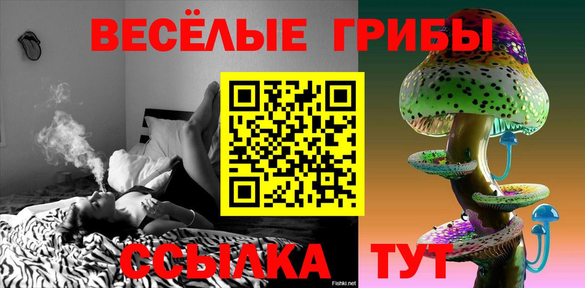 Галлюциногенные грибы Psilocybine cubensis  Галлюциногенные грибы GOLDEN TEACHER  Вход с VPN  Ступино 